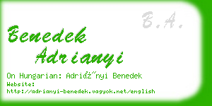 benedek adrianyi business card